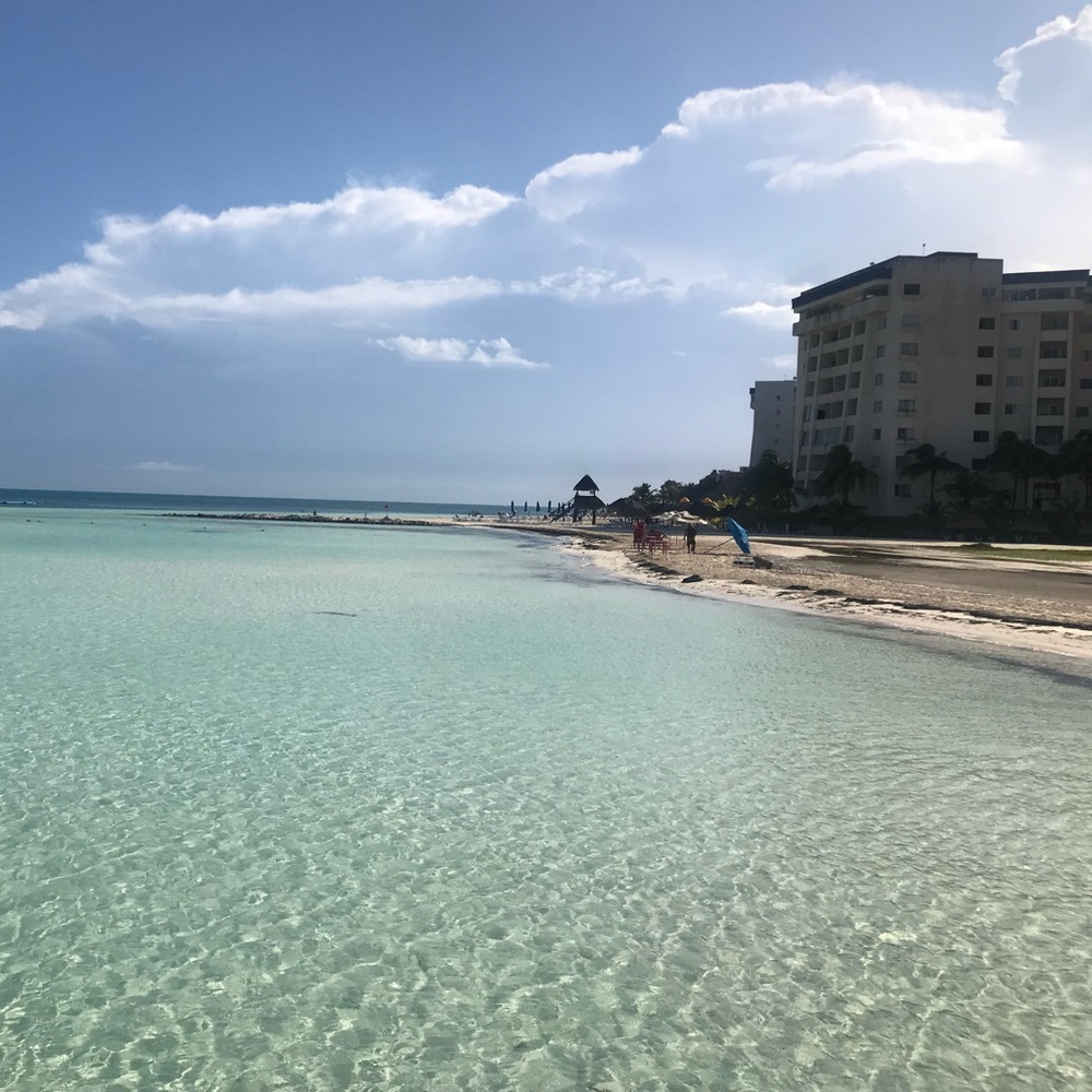 Meet your Posher, Beach Bum